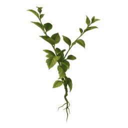 Great Mullein - Arc Raiders Topside Material